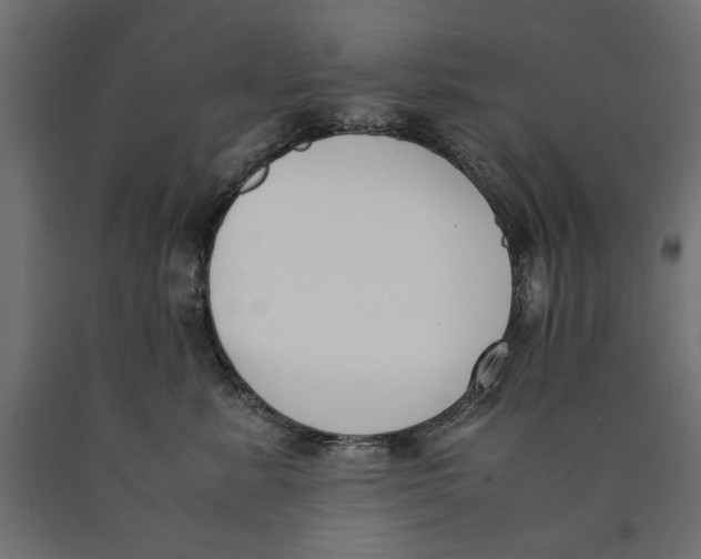 X0000090410619200708031044