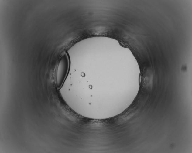 X0000090410620200708031044