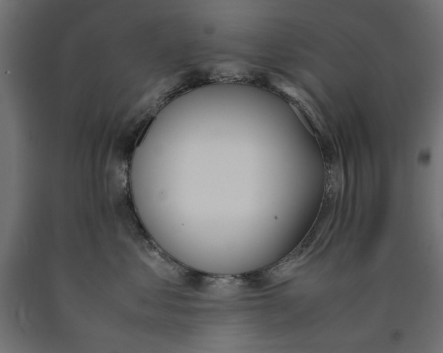 X0000090410621200708031044