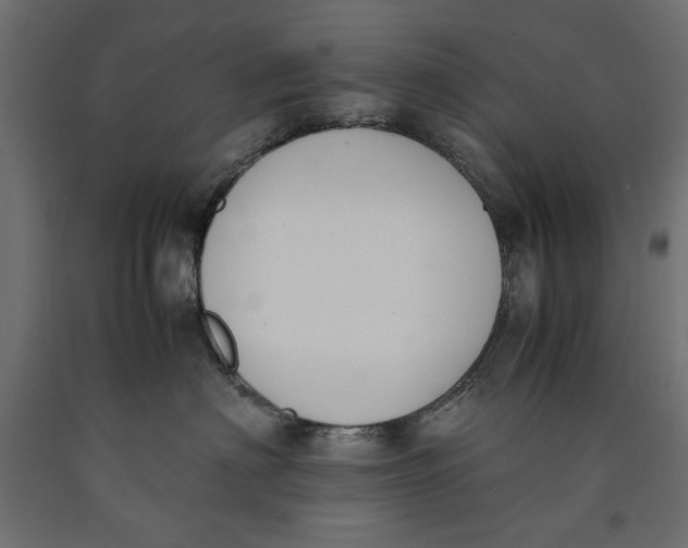 X0000090410622200708031044