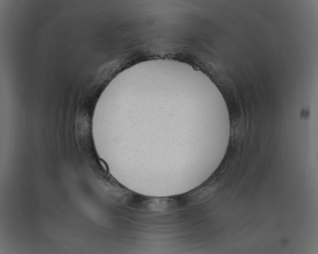 X0000090410623200708031044