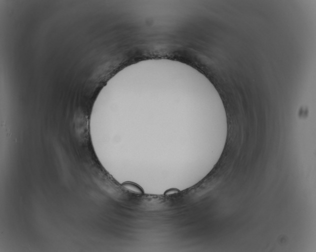 X0000090410624200708031044