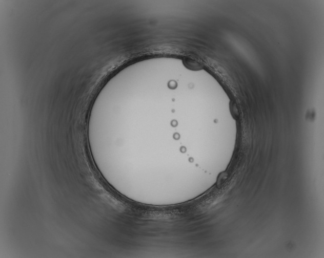 X0000090410625200708031043