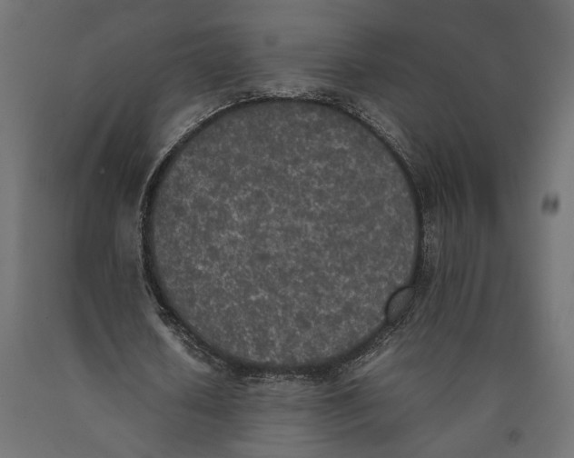 X0000090410626200708031043