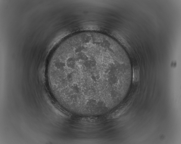 X0000090410627200708031043