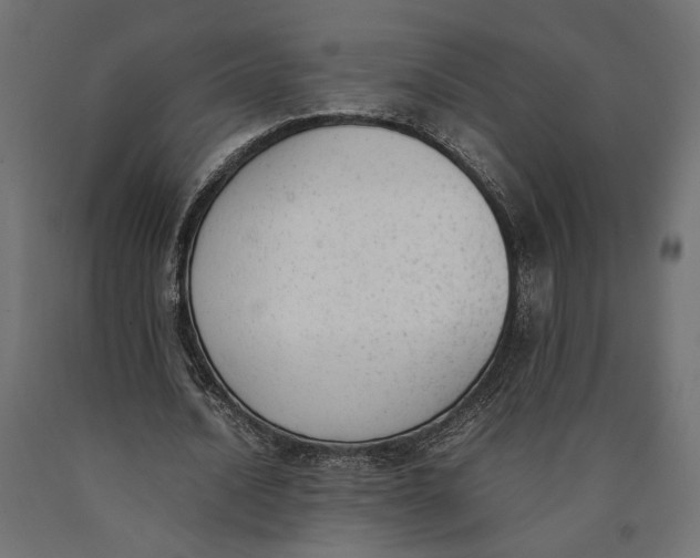 X0000090410628200708031043