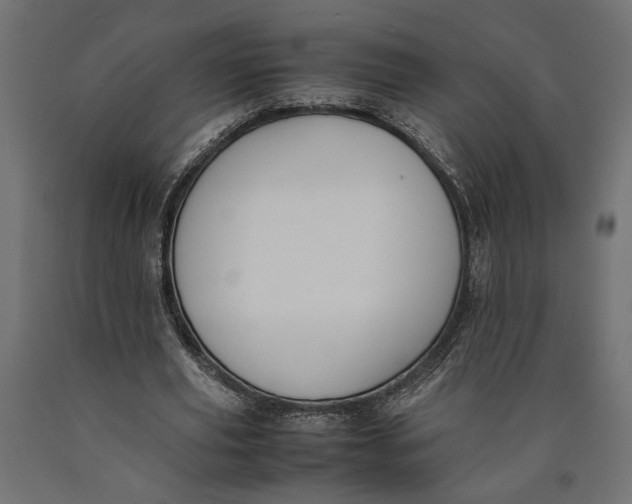 X0000090410629200708031043