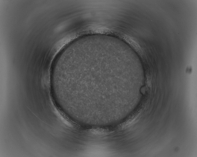 X0000090410630200708031043