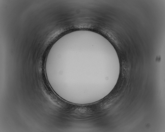 X0000090410631200708031043