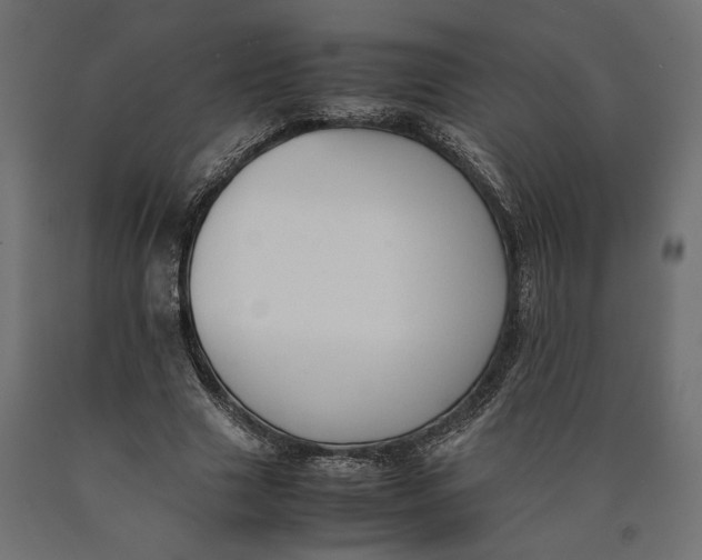 X0000090410633200708031043