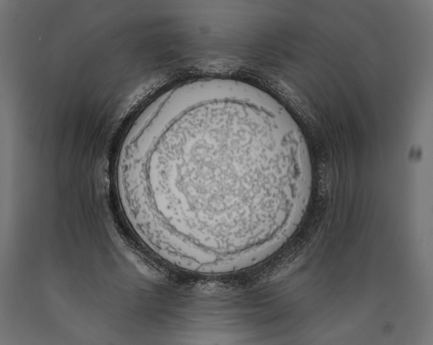 X0000090410634200708031043
