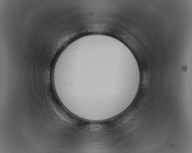 X0000090410636200708031043