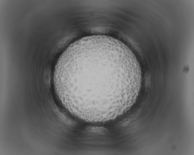 X0000090410637200708031043