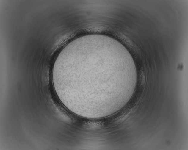 X0000090410638200708031043