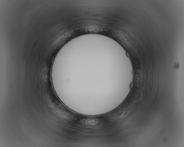 X0000090410639200708031043