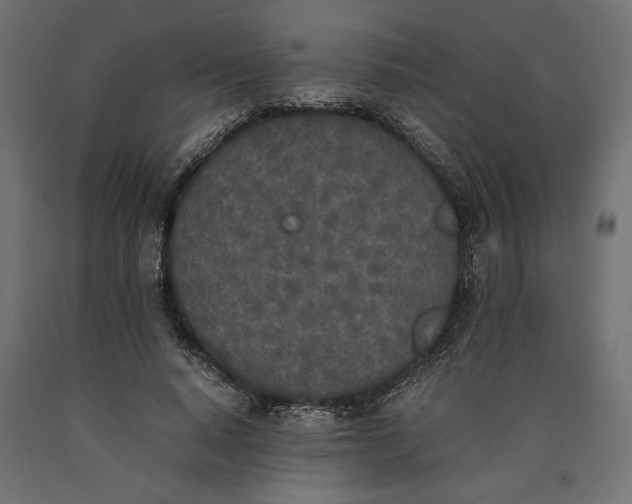 X0000090410640200708031043