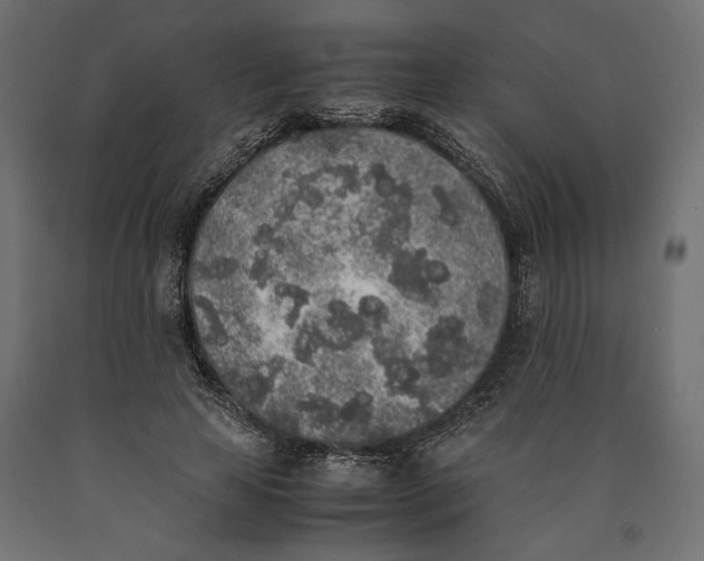 X0000090410641200708031043