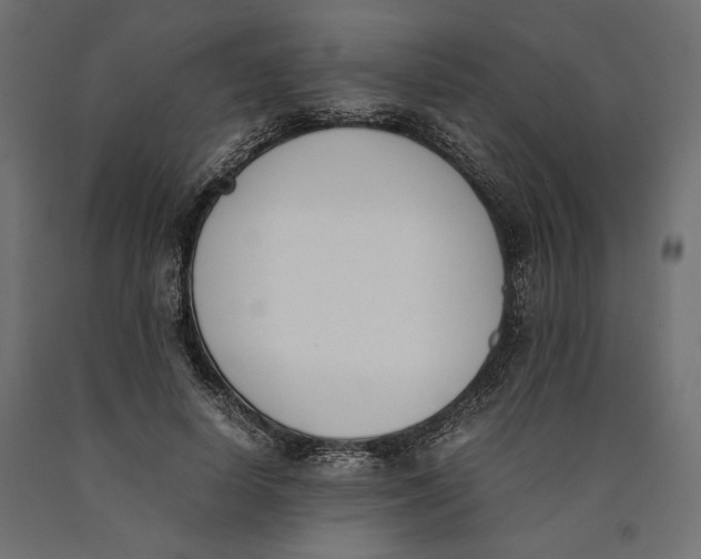 X0000090410642200708031043