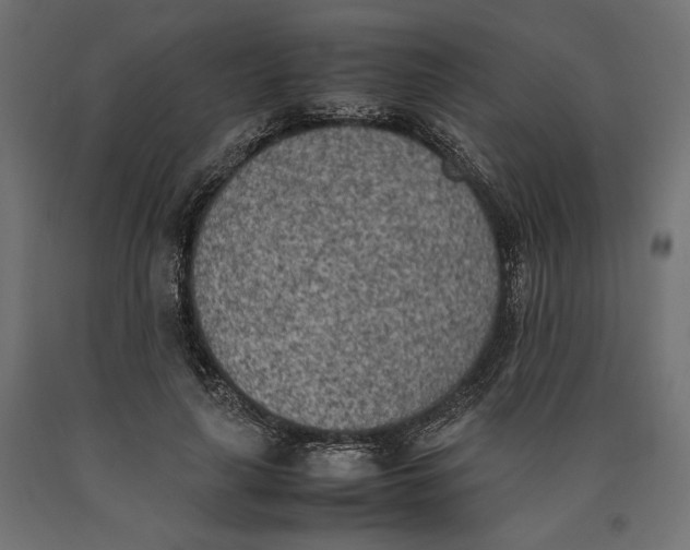 X0000090410643200708031043