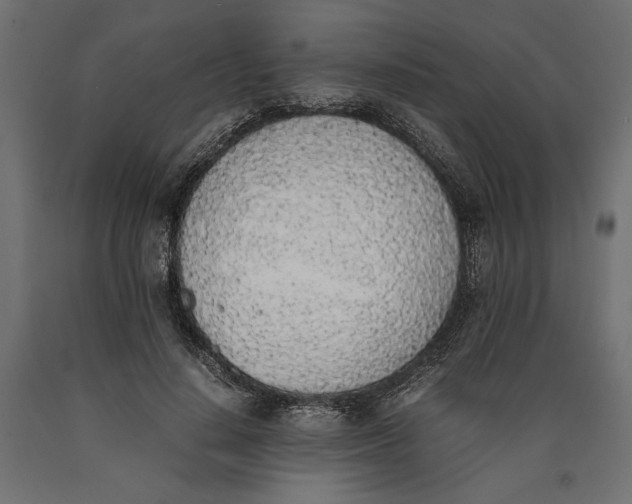 X0000090410644200708031043
