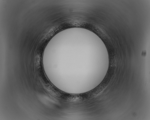X0000090410646200708031043