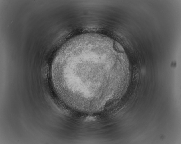 X0000090410647200708031043