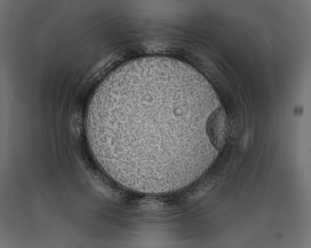 X0000090410648200708031043