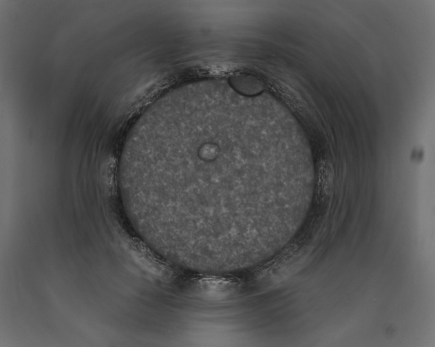 X0000090410650200708031043