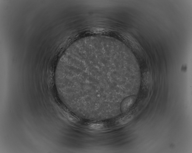 X0000090410653200708031043