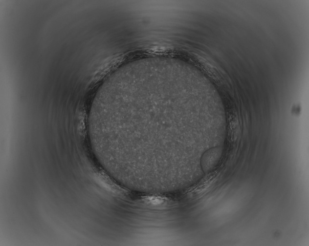 X0000090410654200708031043