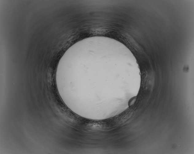X0000090410655200708031043