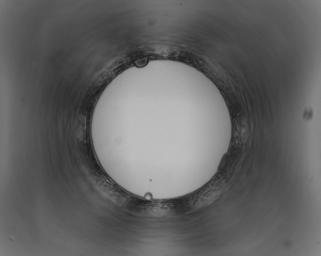 X0000090410656200708031043