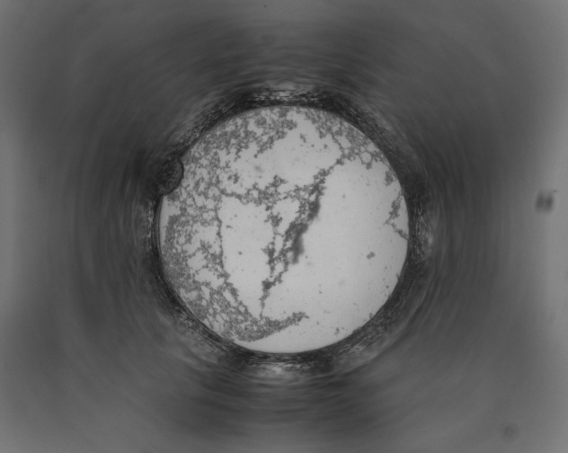 X0000090410657200708031043