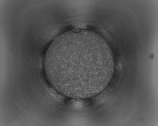 X0000090410658200708031043