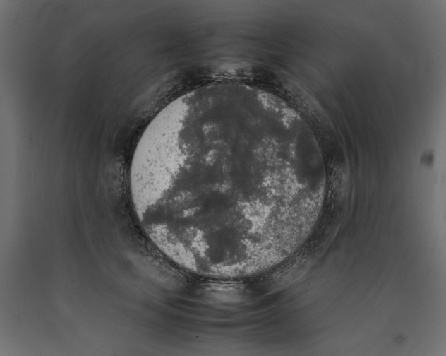 X0000090410659200708031043