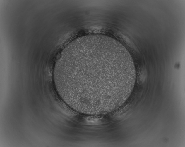 X0000090410661200708031043