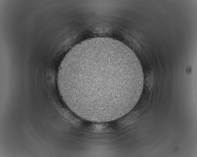 X0000090410662200708031043