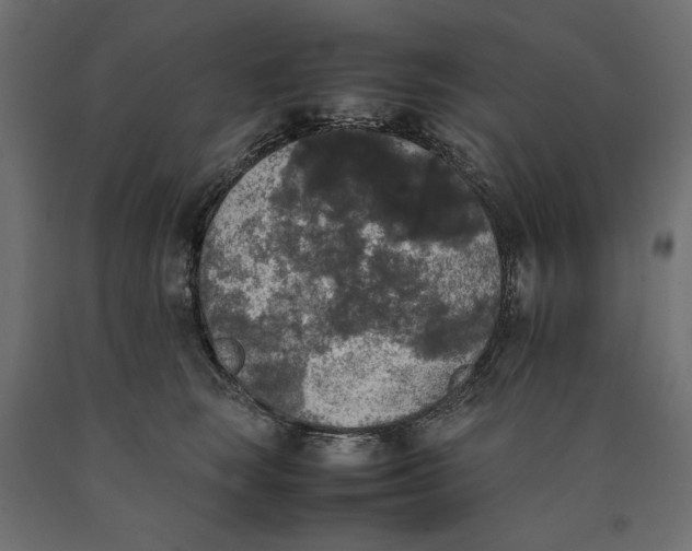 X0000090410663200708031043