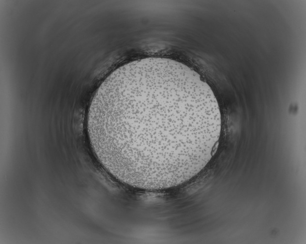 X0000090410664200708031044