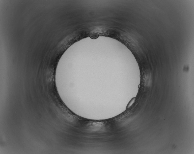 X0000090410665200708031044