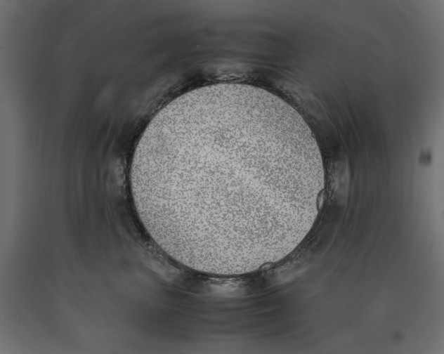 X0000090410667200708031044