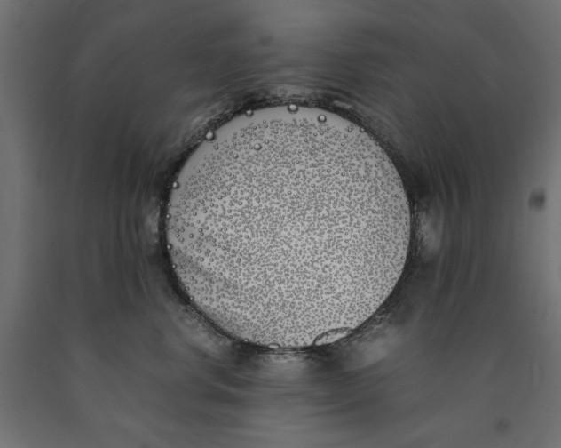 X0000090410668200708031044