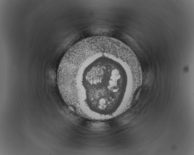X0000090410669200708031044