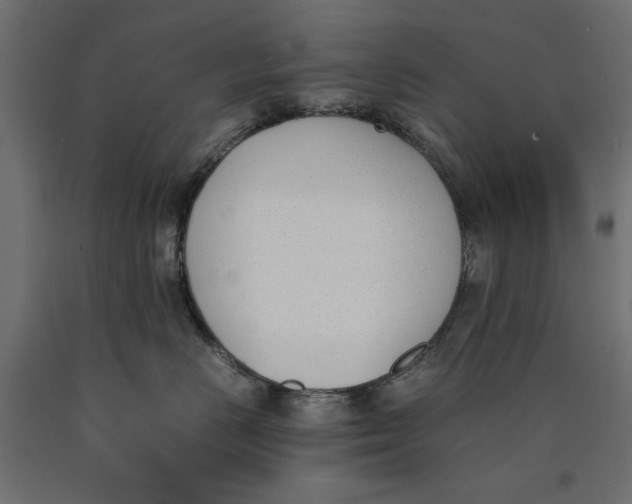 X0000090410670200708031044