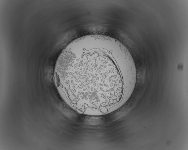 X0000090410671200708031044