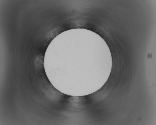 X0000090410672200708031044