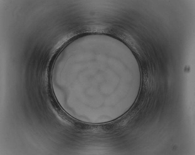 X0000090410674200708031043