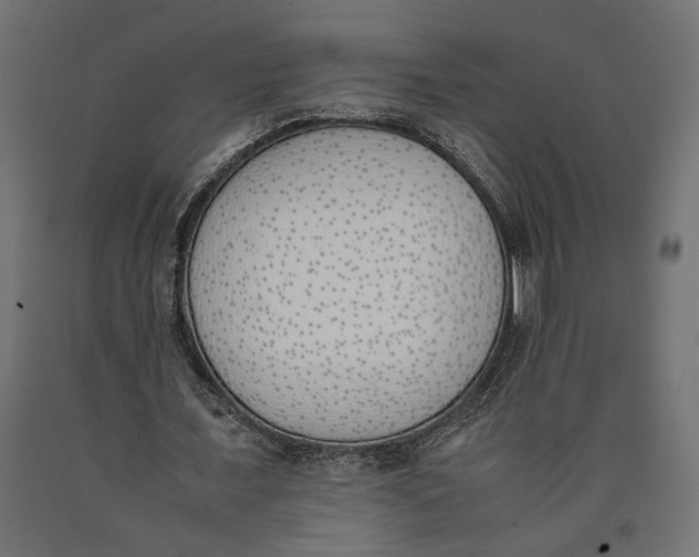 X0000090410675200708031043