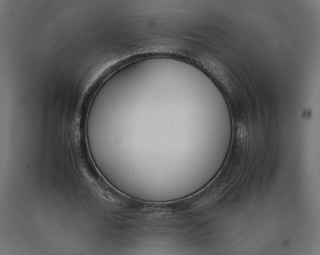 X0000090410676200708031043