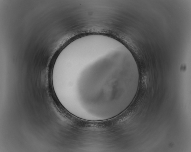 X0000090410678200708031043
